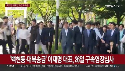 '백현동·대북송금' 이재명 대표, 26일 구속영장심사