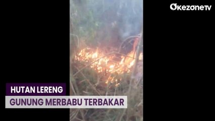 Petugas Gabungan Berjibaku Padamkan Kebakaran di Hutan Lereng Gunung Merbabu