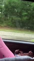 Marion Landing Administration Ocala, FL 2023