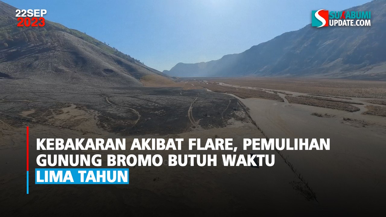 Kebakaran Akibat Flare, Pemulihan Gunung Bromo Butuh Waktu Lima Tahun
