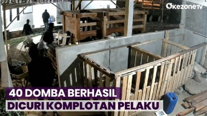 Beraksi Ala Ninja, Komplotan Pencuri Puluhan Domba di Cianjur Ditangkap