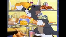 Tom And Jerry __ Birthday Celebrations __ Tom And Jerry Cartoon __ Animals Gaming Cartoon