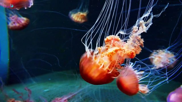 Summer Music Mix 2023 ️ The Best Of Vocal Deep House Music Mix 2023 ️ Mega Hits 2023