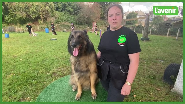 Le Royal Dressage club de Verviers fête ses 100 ans