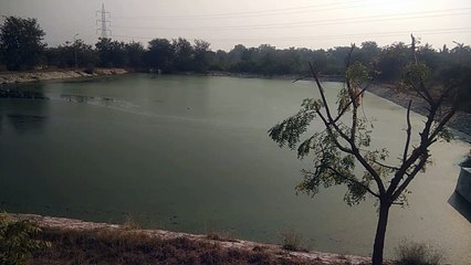 एसटीपी अपग्रेड पर खर्च करेंगे 8 करोड़, सीवरेज कनेक्शन नहीं बढ़ाने से हो ना बेकार