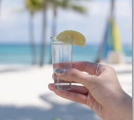 Festival Gourmet de Barceló 2023