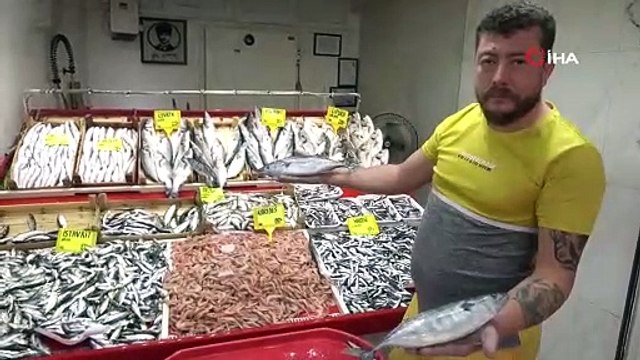 Sezonun ilk palamutları tezgaha çıktı! İşte fiyatlar