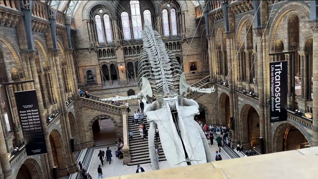 Dinosaurs Dekh Liya  Real sourav joshi vlogs