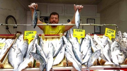Çanakkale'de Balık Tezgahları Şenlendi
