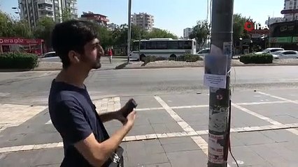 Bir ilimiz bu el ilanını konuşuyor: ''Bu 2 köpeği görürseniz...''