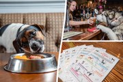 Best UK dog pub: Lancs boozer 'The Bellflower' named best for public house for pooches