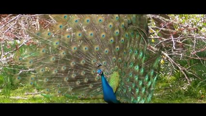 Magical Indonesia of paradise island in the world