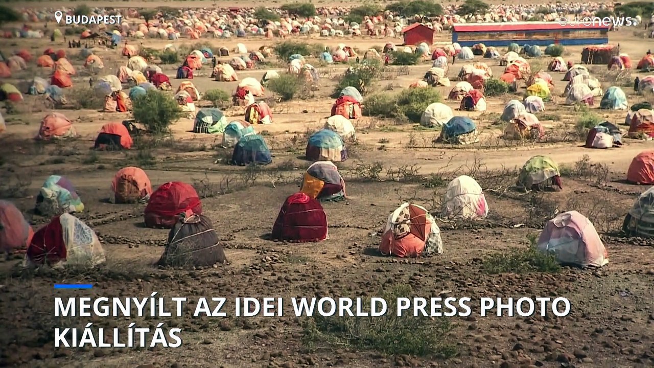 Elgondolkodtató látkép a világról - megnyílt az idei Word Press Photo kiállítás