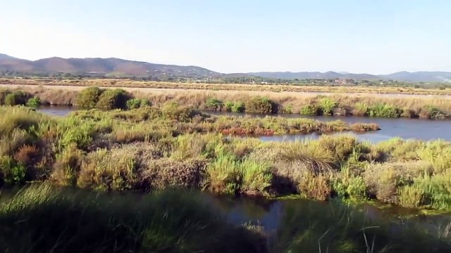 Hyères-Les vieux salins 2023