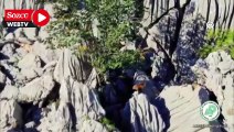 Antalya'da ayı ve ikiz yavrusunun sarp kayalıklara tırmanma çabası görüntülendi