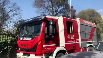 Palermo, il vento riaccende le fiamme a Brancaccio: abitazioni minacciate