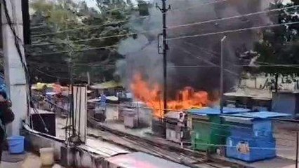 रीवा: शॉर्ट सर्किट से चौपाटी में लगी आग, देखिए धू-धू कर जली यह दुकान