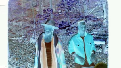 Hailee Steinfeld & Alesso - Let Me Go in G Major