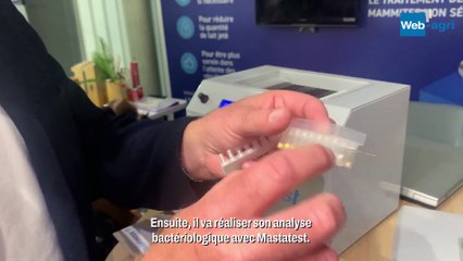 Identifier les bactéries responsables des mammites pour un traitement ciblé