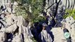 Ayı ve ikiz yavrusu sarp kayalıklara tırmanmaya çalışırken görüntülendi