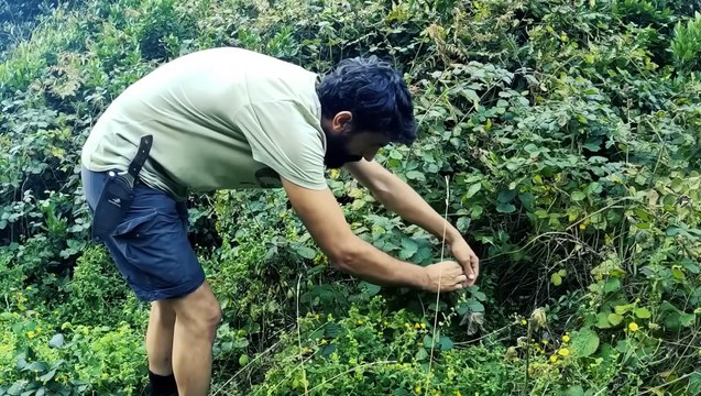 3 DAYS solo survival (NO FOOD, NO WATER, NO SHELTER) Catch and Cook, FISHING - Bushcraft Camping