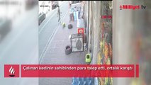 Çalınan kedinin sahibinden para talep etti, ortalık karıştı