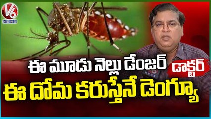 Fever Hospital Superintendent Shankar About Dengue Cases _ V6 News