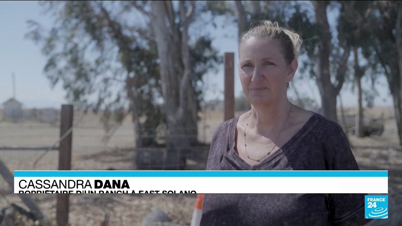 De riches investisseurs de la Silicon Valley veulent construire une ville "idéale" en Californie