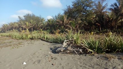 Suasana di pantai Widarapayung wetan
