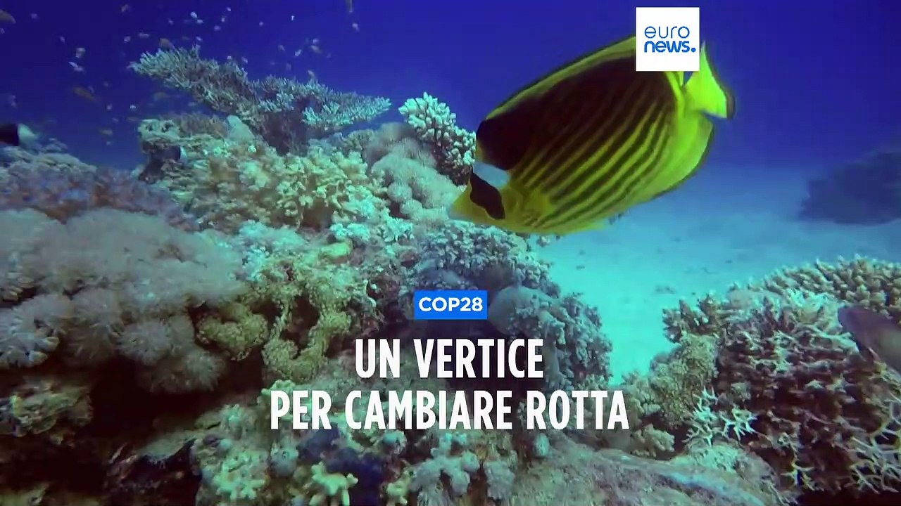 Crisi climatica, e se le risposte arrivassero dalla COP28 di Dubai?