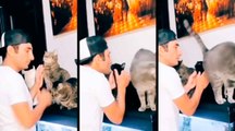 Hilarisches Video: Katze ergreift drastische Maßnahme, um zu zeigen, dass sie Küsse nicht mag