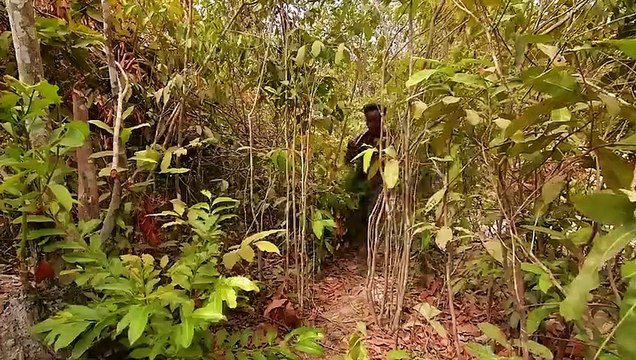 I Build Underground Tunnel Water Slide Park Into Swimming Pool house