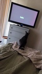 Jumping Is Not His Specialty