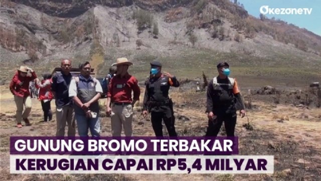 Kebakaran Gunung Bromo, Total Lahan yang Terbakar 504 Hektare Kerugian Capai Rp5,4 Miliar