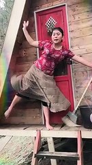 life nature in forest