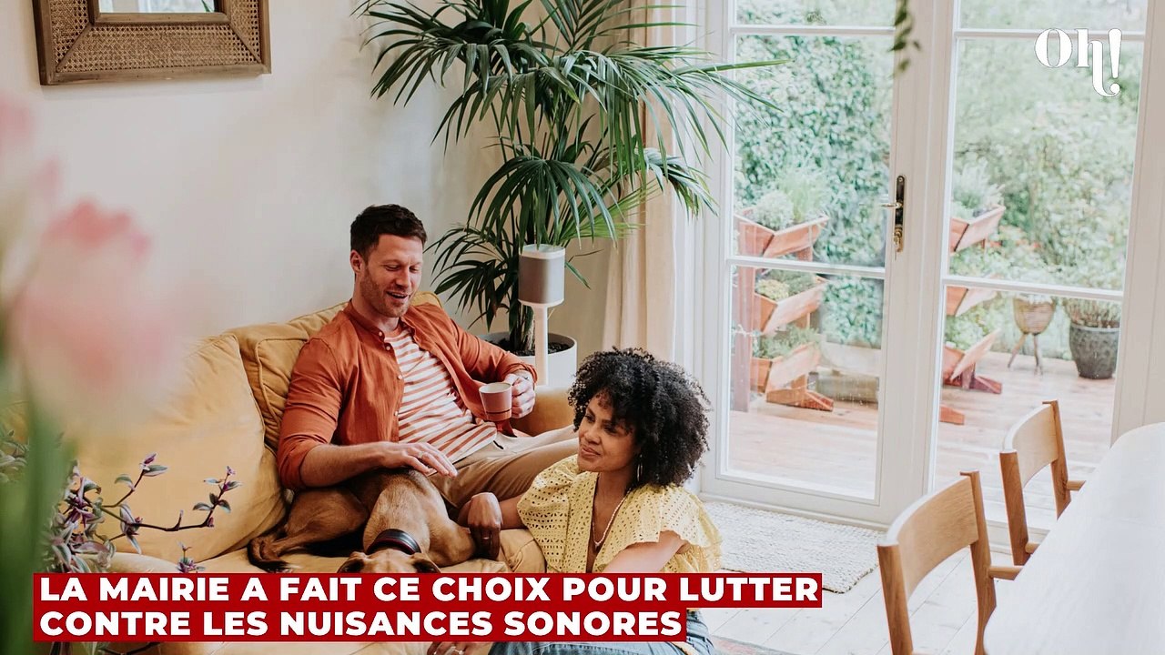 Alsace : une maire limite le nombre de chiens par foyers, des habitants obligés d'abandonner leur animal