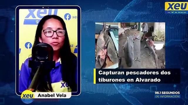Trabajador de limpia pública falleció atropellado en Veracruz