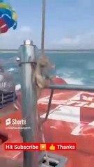 #shorts  Parasailing _  Water Sport