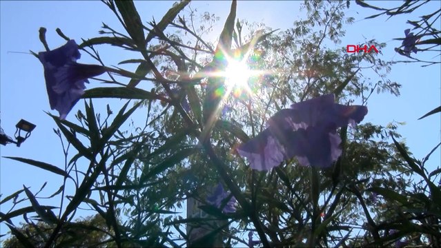 Adana'da kavurucu sıcaklar sürüyor; termometreler 39 dereceyi gösterdi