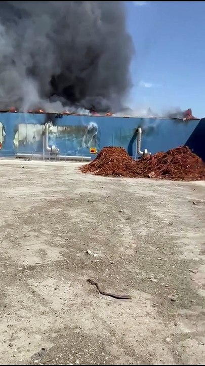 Il Video Del Nuovo Incendio Alla Discarica Di Bellolampo Video