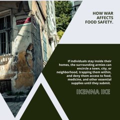 | IKENNA IKE | HUMANITARIAN AID IS VITALLY NEEDED IN MANY CONFLICT ZONES (PART 3) (@IKENNAIKE)