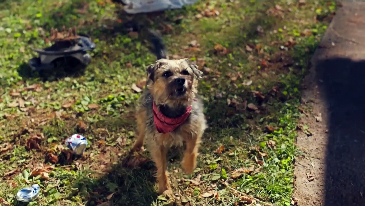 Trailer de 'Vida perra'