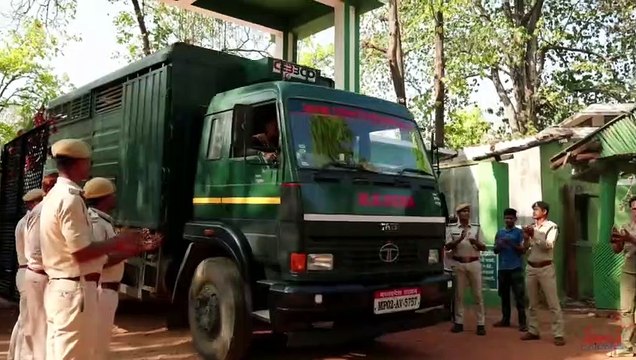 वीरांगना दुर्गावती टाइगर रिजर्व होगा मध्यप्रदेश का सातवां और सबसे बड़ा टाइगर रिजर्व