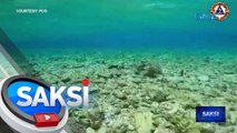 China, pumalag sa balak ng Pilipinas na magsampa ng kaso kaugnay ng pagkasira ng coral reefs sa ilang bahagi ng WPS | Saksi