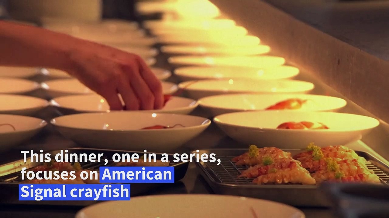 Out of the wild and onto a plate, a London restaurant serves invasive species