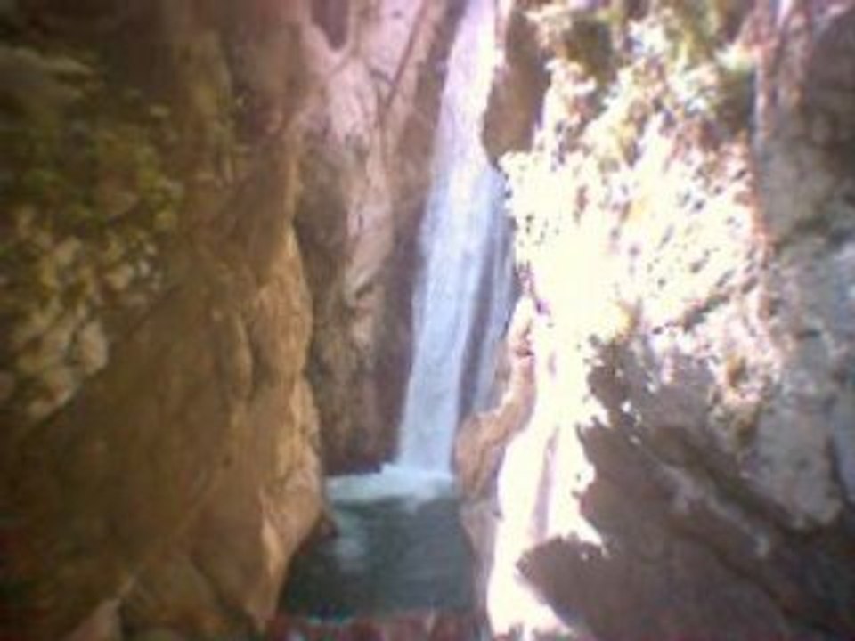 Tazelwurm_holzbrücke oben_00041