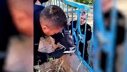 Kırıkkale'de Okul Bahçesinde Sıkışan Kedi İtfaiye Tarafından Kurtarıldı