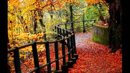 Qu’est-ce que l’équinoxe d’automne, le phénomène qui surviendra ce samedi ?