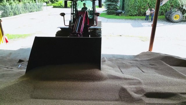 La Pologne et l'Ukraine vont discuter au sujet des céréales ukrainiennes