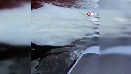 Yalova'da Kirli Balast Suyu Skandalı: Gemiye 7 Milyon TL Cezai İşlem